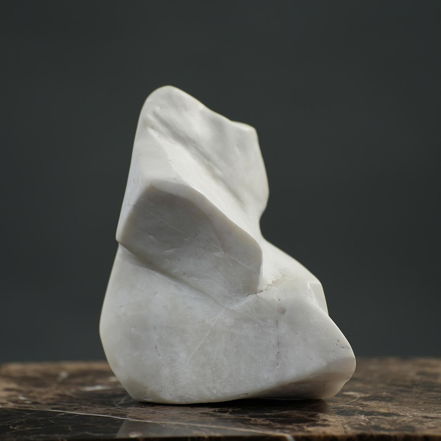 Abstract Form - Black Abstract Sculpture by Leo De Beer