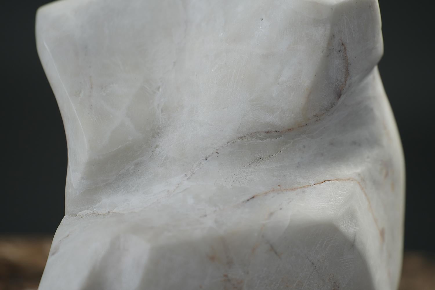 Abstract Form For Sale 1