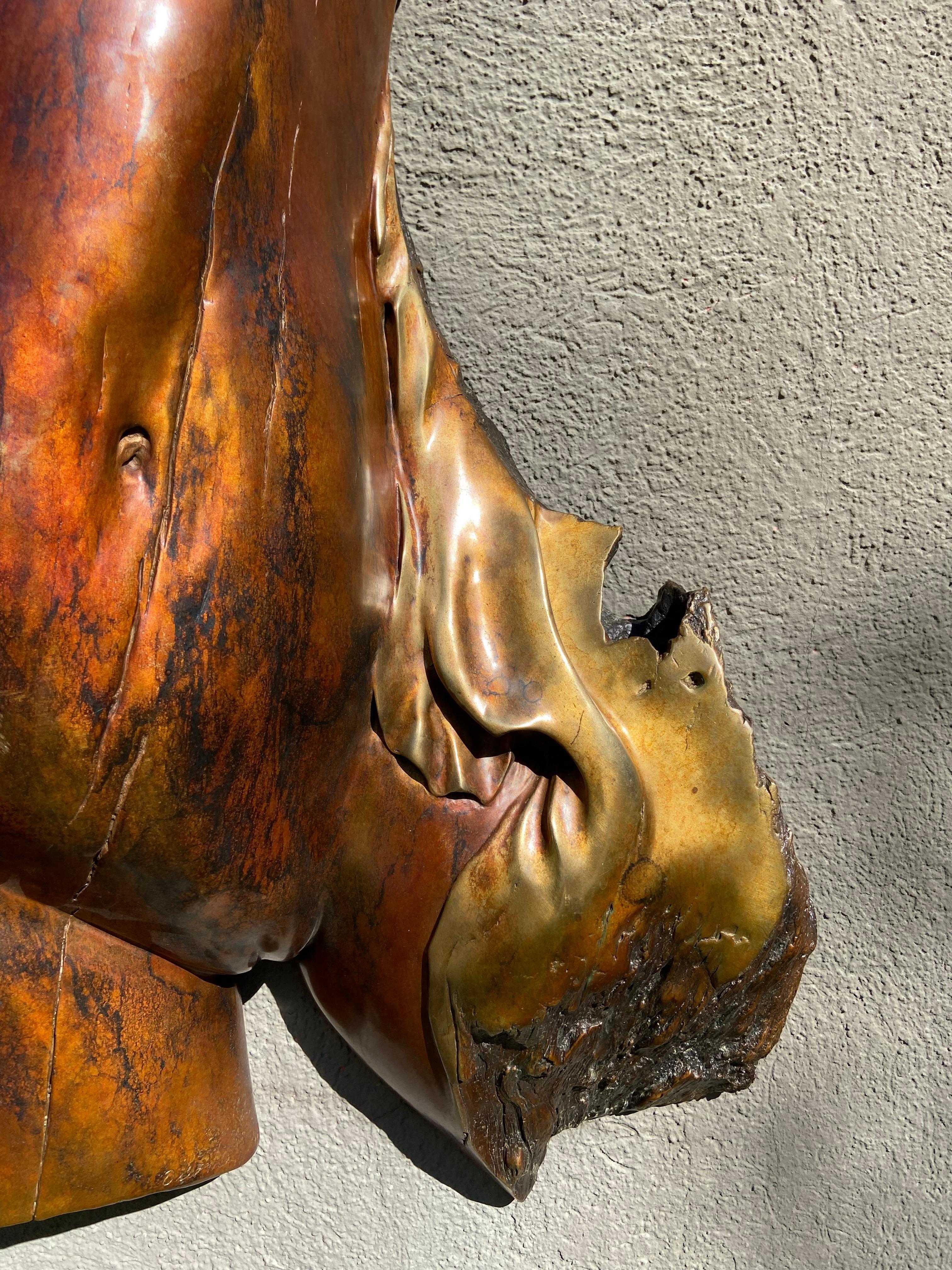 Daphne, 40 Zoll hohes Bronzerelief (Zeitgenössisch), Sculpture, von Leo E. Osborne