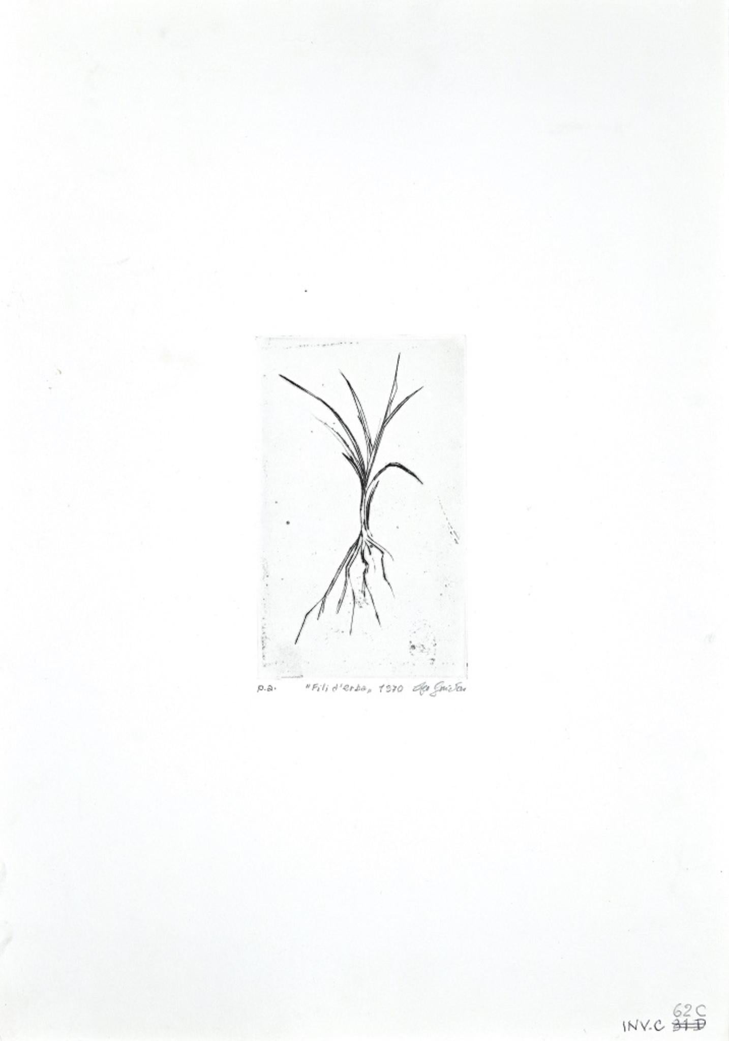 Blades of Grass (italienischer Originaltitel "Fili d'erba") ist ein originales zeitgenössisches Kunstwerk des italienischen Künstlers Leo Guida aus dem Jahr 1970.

Original S/W-Radierung auf Papier.  Abmessungen des Bildes: 16 x 0,1 x 10