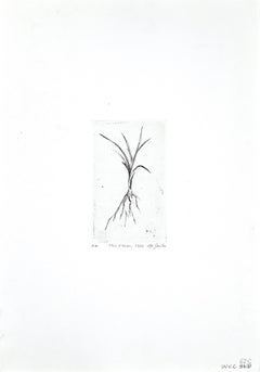 Blades of Grass - Original Etching by Leo Guida  - 1970