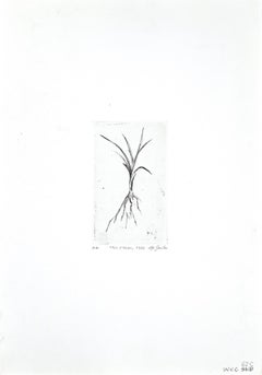 Vintage Blades of Grass - Original Etching by Leo Guida  - 1970