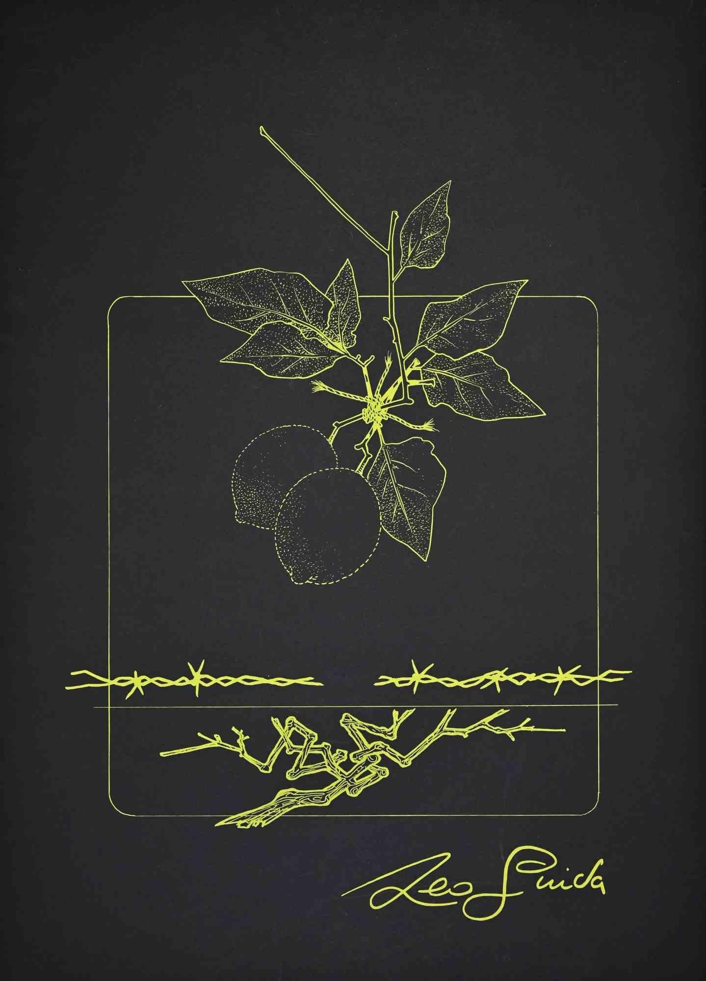 Lemon Branch - Print by Leo Guida - 1970s