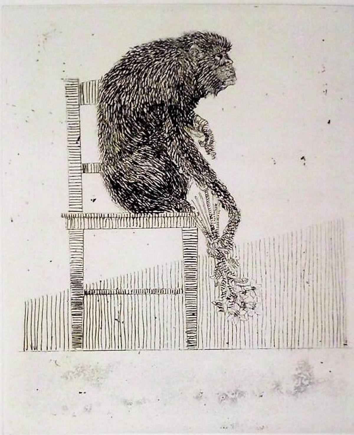 Affen – Original-Radierung von Leo Guida – 1973