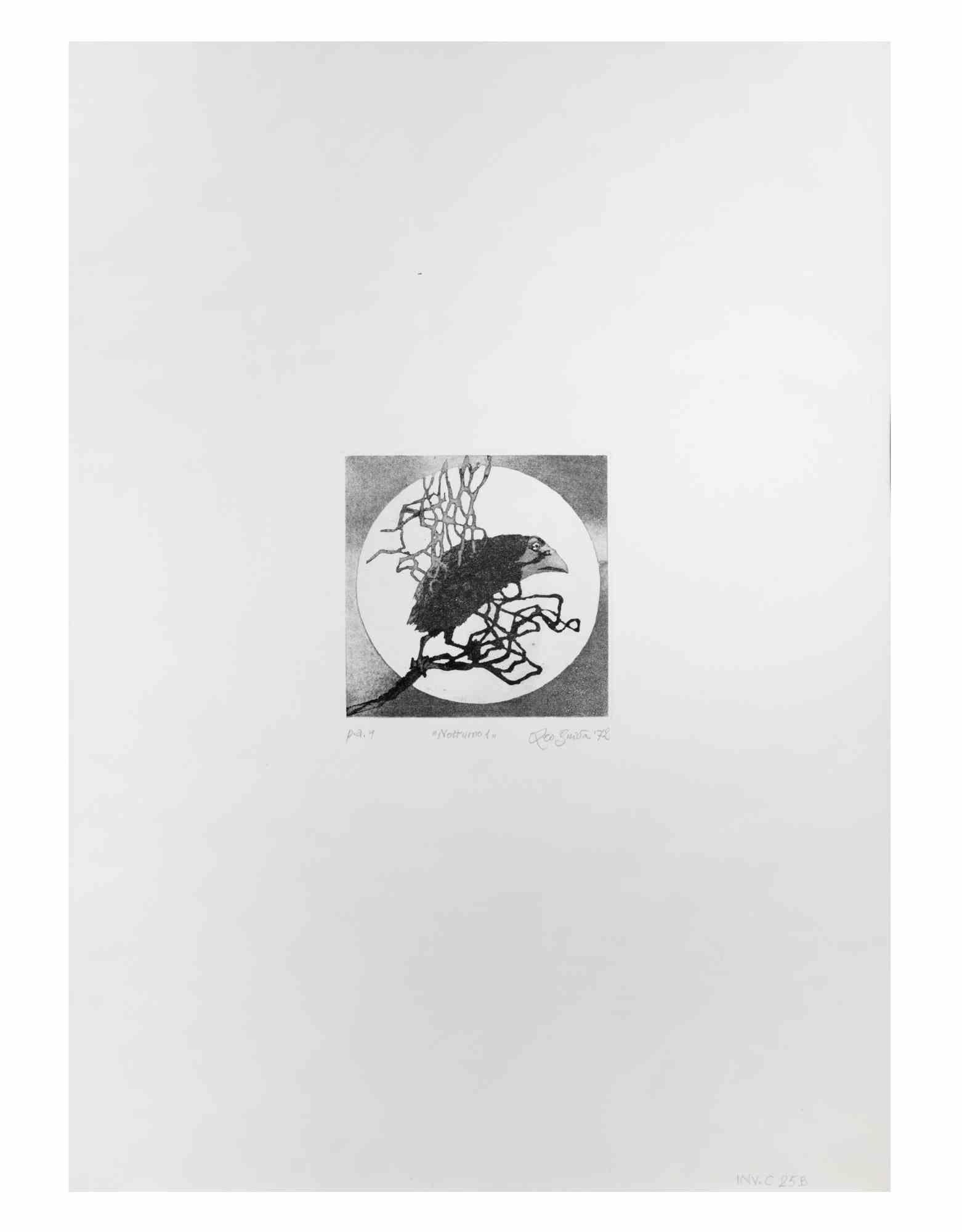 Nocturnal ist ein Kunstwerk, das von dem italienischen Künstler  Leo Guida (1992 - 2017) im Jahr 1972.

Schwarz-Weiß-Radierung auf Papier.

Rechts unten handschriftlich signiert, datiert und betitelt, Probedruck des Künstlers, links unten Abzüge.