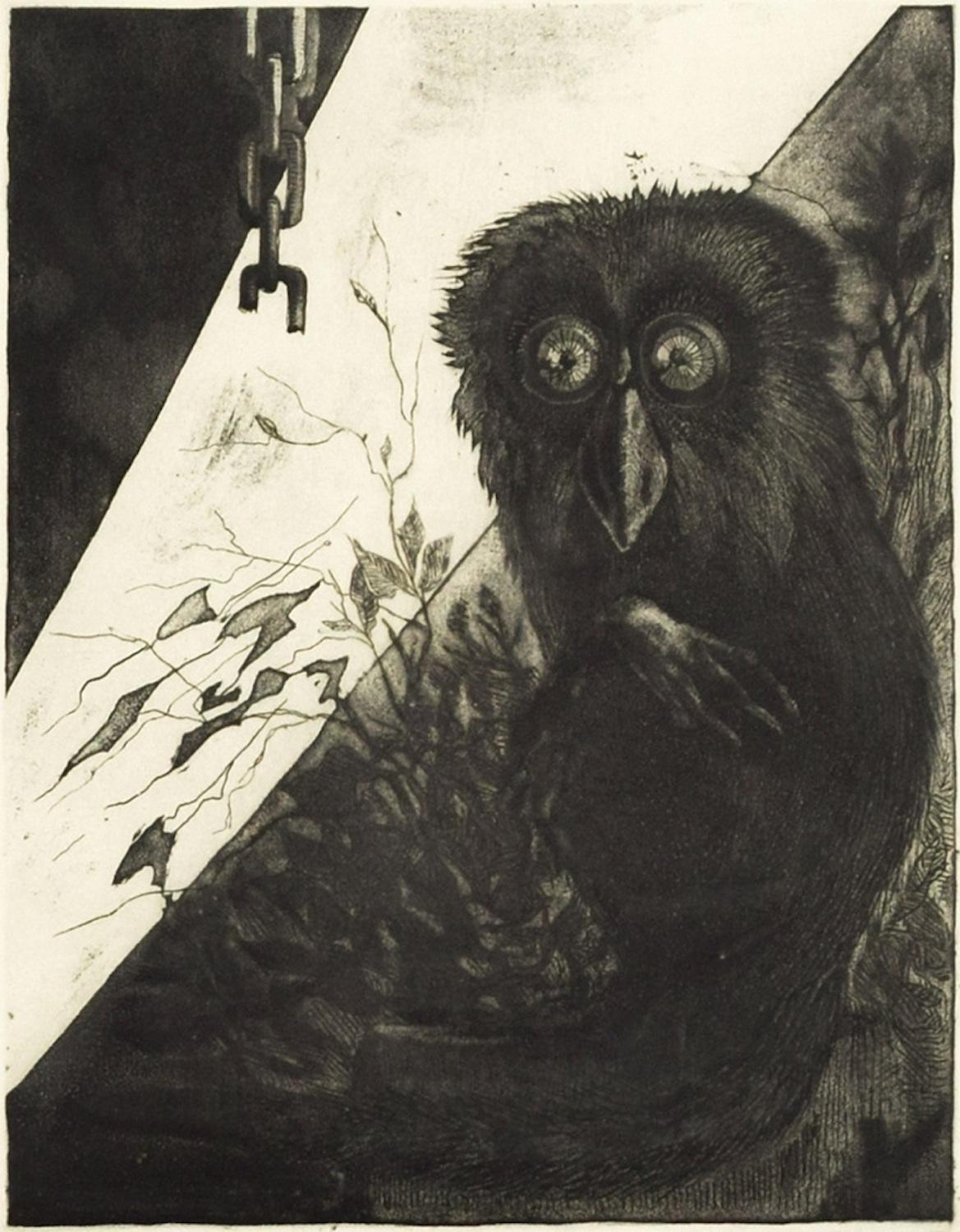 Owl - Etching by Leo Guida - 1972