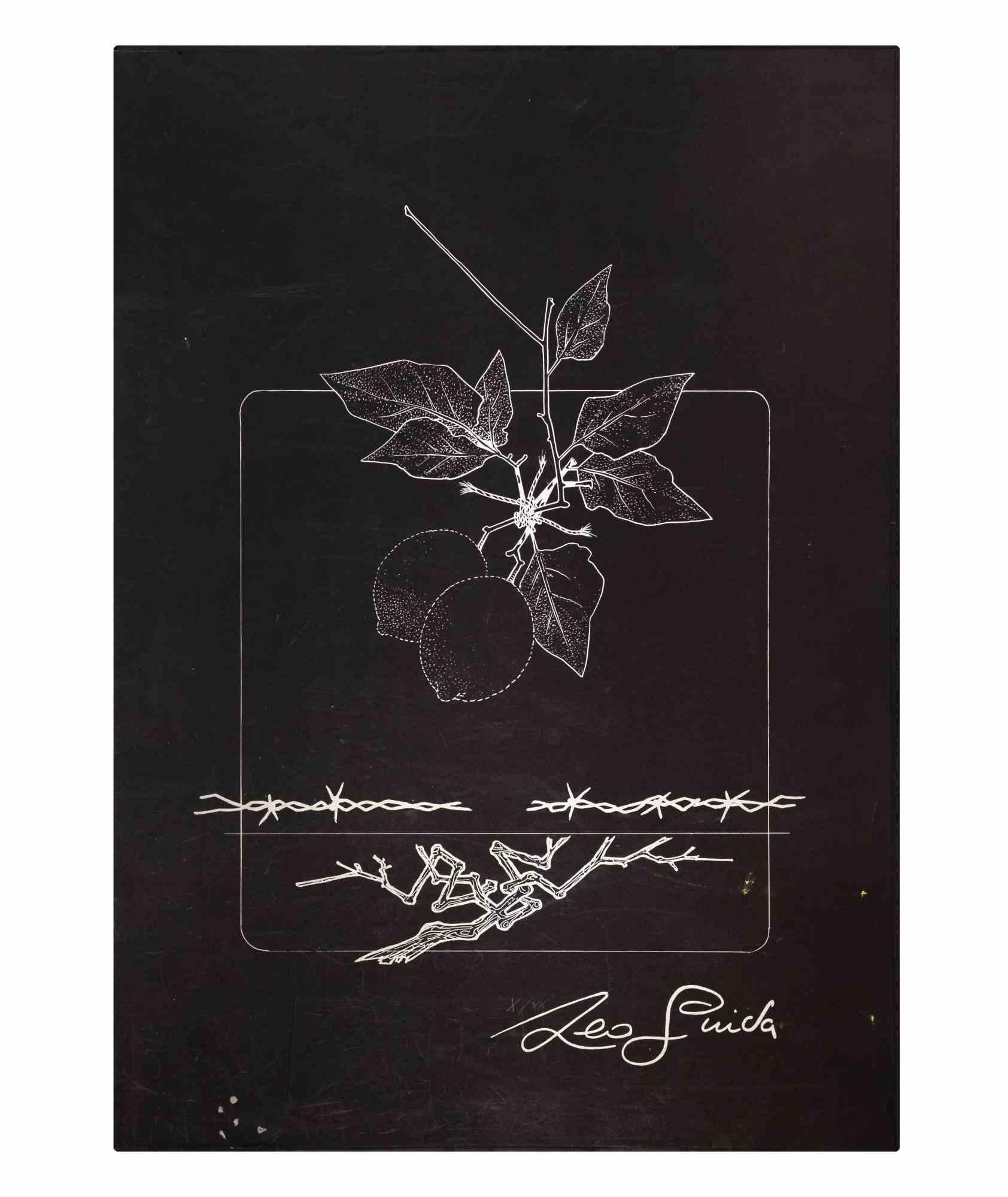 Naturaleza muerta - Aguafuerte de Leo Guida - 1976