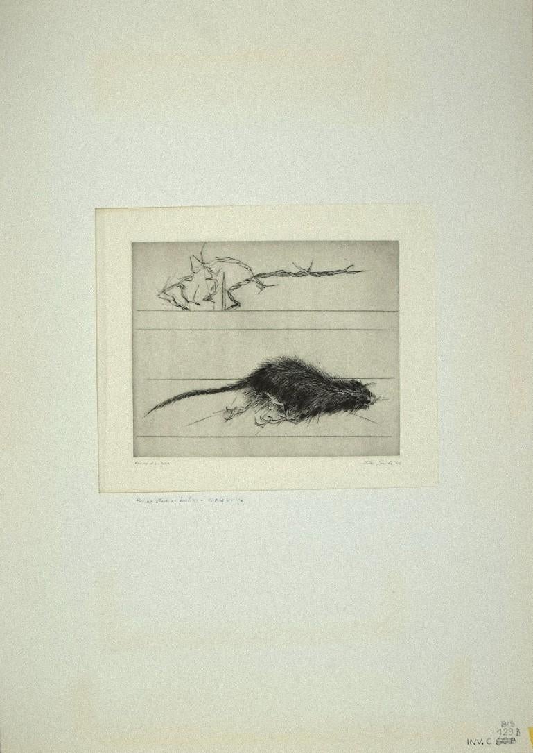 Le rat - eau-forte sur papier de Leo Guida - 1972