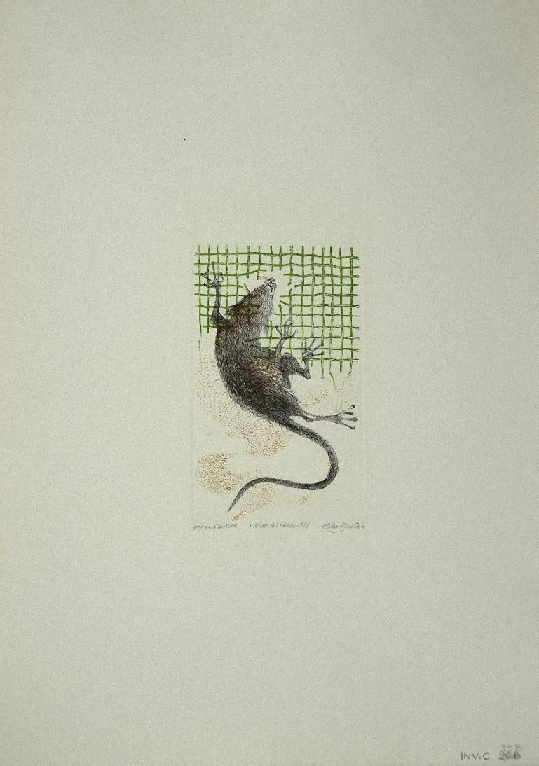 rat etching