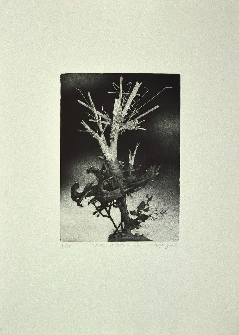 The Tree is an original Contemporary artwork realized in the the 1970s by the italian artist Leo Guida.

Original Etching on paper. 

Numbered, titled and hand-signed in pencil on the lower margin: X/XX "Albero a Villa Amata" Leo Guida.

Edition of