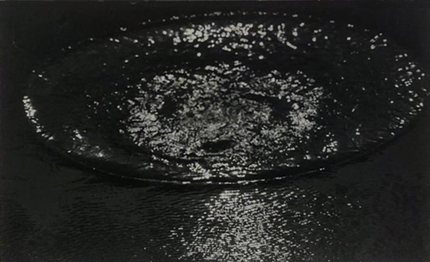 Gota de Agua, Still life Vintage black and white photograph Framed - Photograph by Leo Matiz