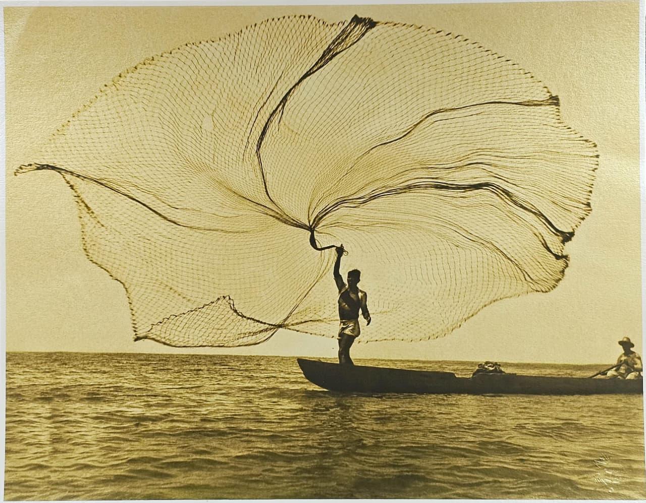 Portrait Photograph de Leo Matiz - Pavo real del mar: La red en ORO, 1939, Ciénaga Grande, Magdalena. Fotografía