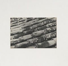 Techos, Mexico, Architectural landscape black and white Vintage Photograph.