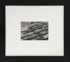 Techos, México, Paisaje arquitectónico en blanco y negro Fotografía de época.