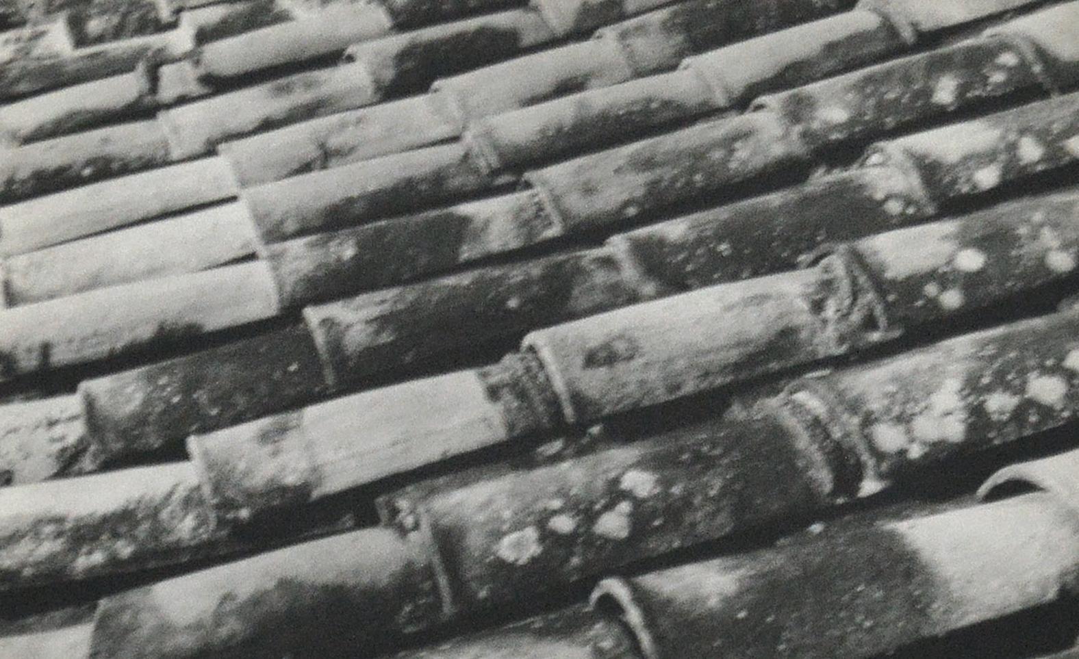 Techos, Mexiko, 1947 von Leo Matiz
Bildgröße: 6,5 Zoll. H x 9.75 in. W
Rahmengröße: 22 Zoll. H x 25 in. W
Gelatinesilberdruck
Gerahmt
Verso mit Bleistift signiert, betitelt und datiert: 