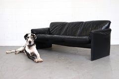 Leolux 'Bora Bora' Black Leather 3-Seat Sofa