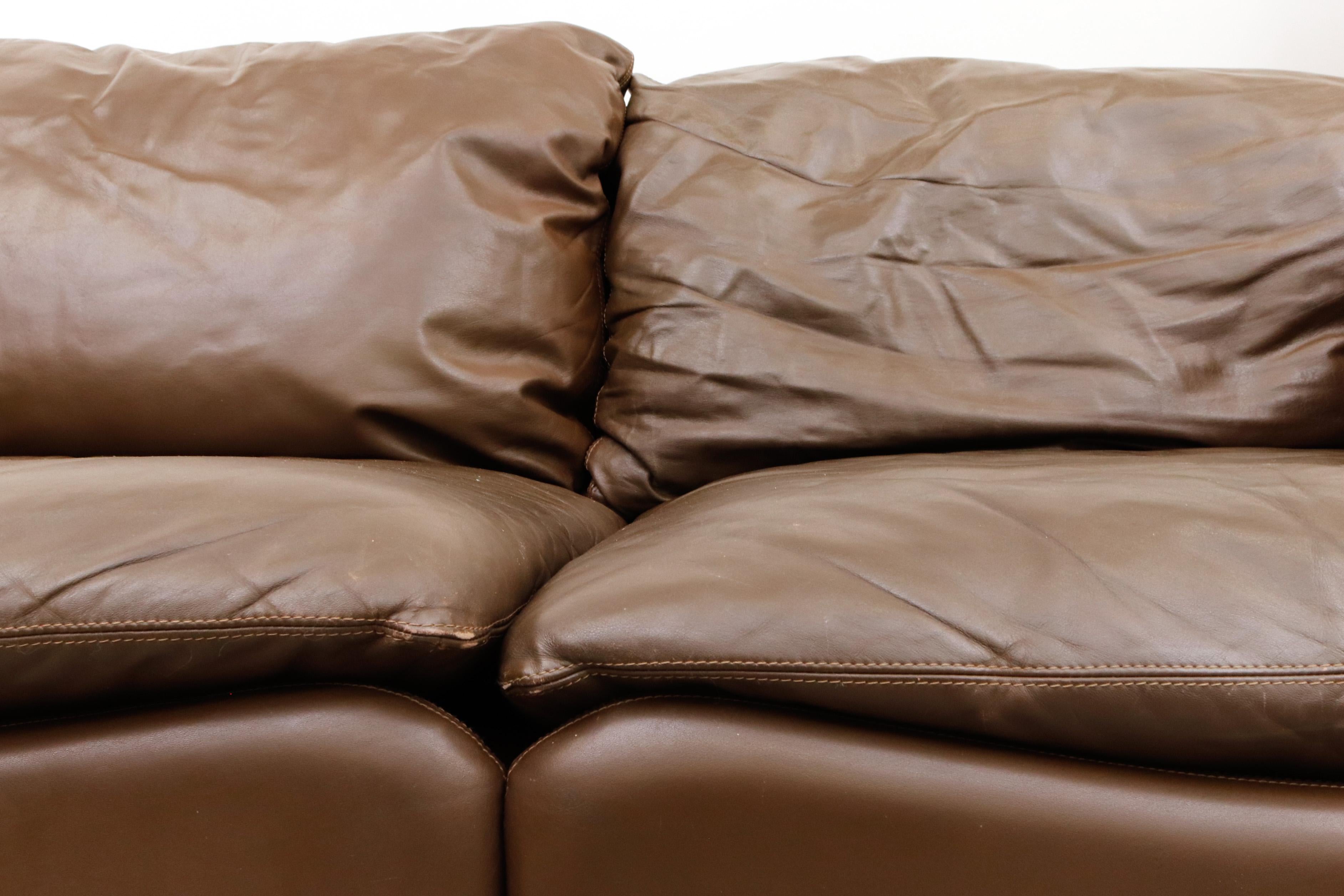 Leolux Wave Frame Sofa in Brown Leather 3