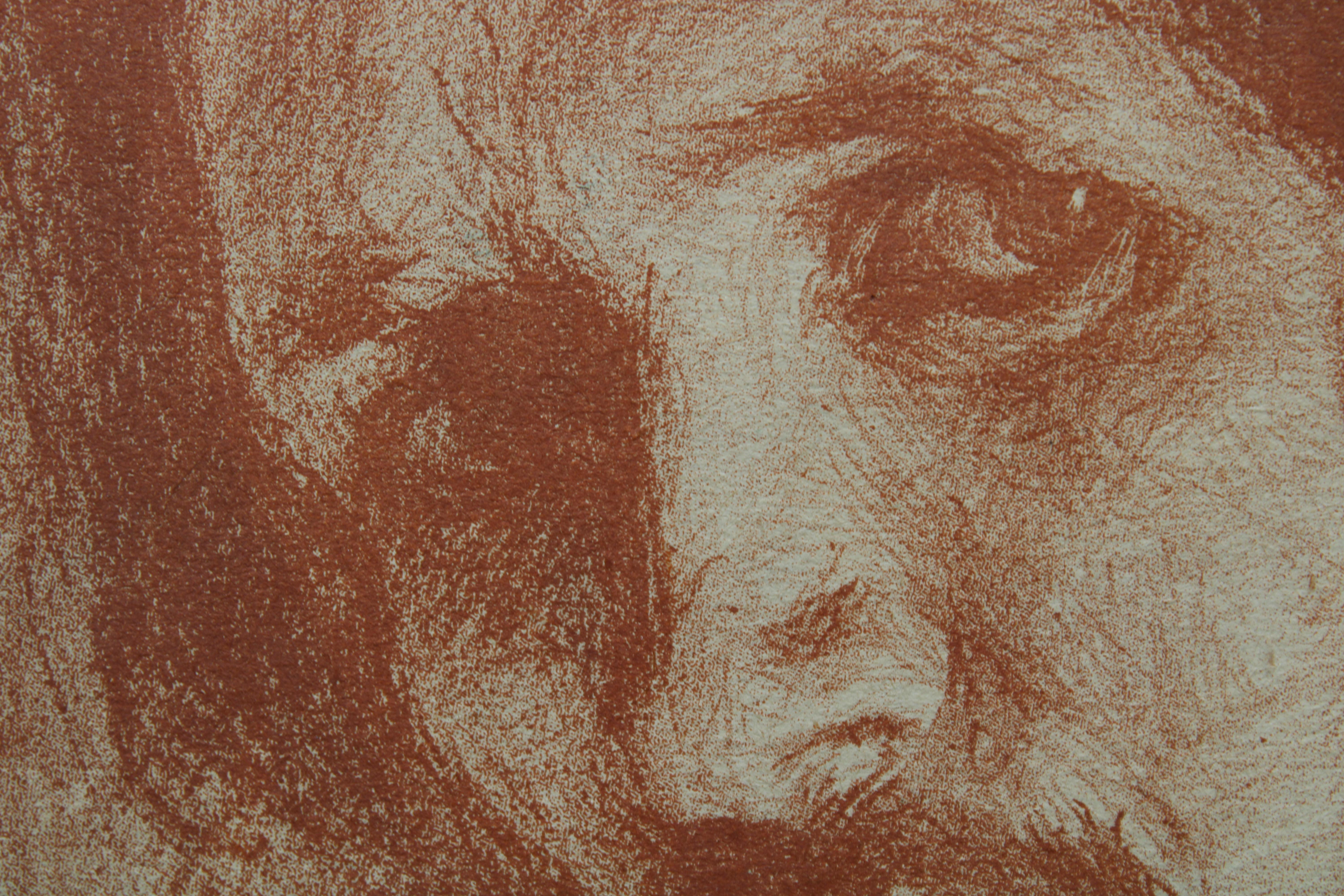 Portrait de Philip Andreevich Malavin.1879. Papier, lithographie, 32x23 cm avec cadran en vente 2