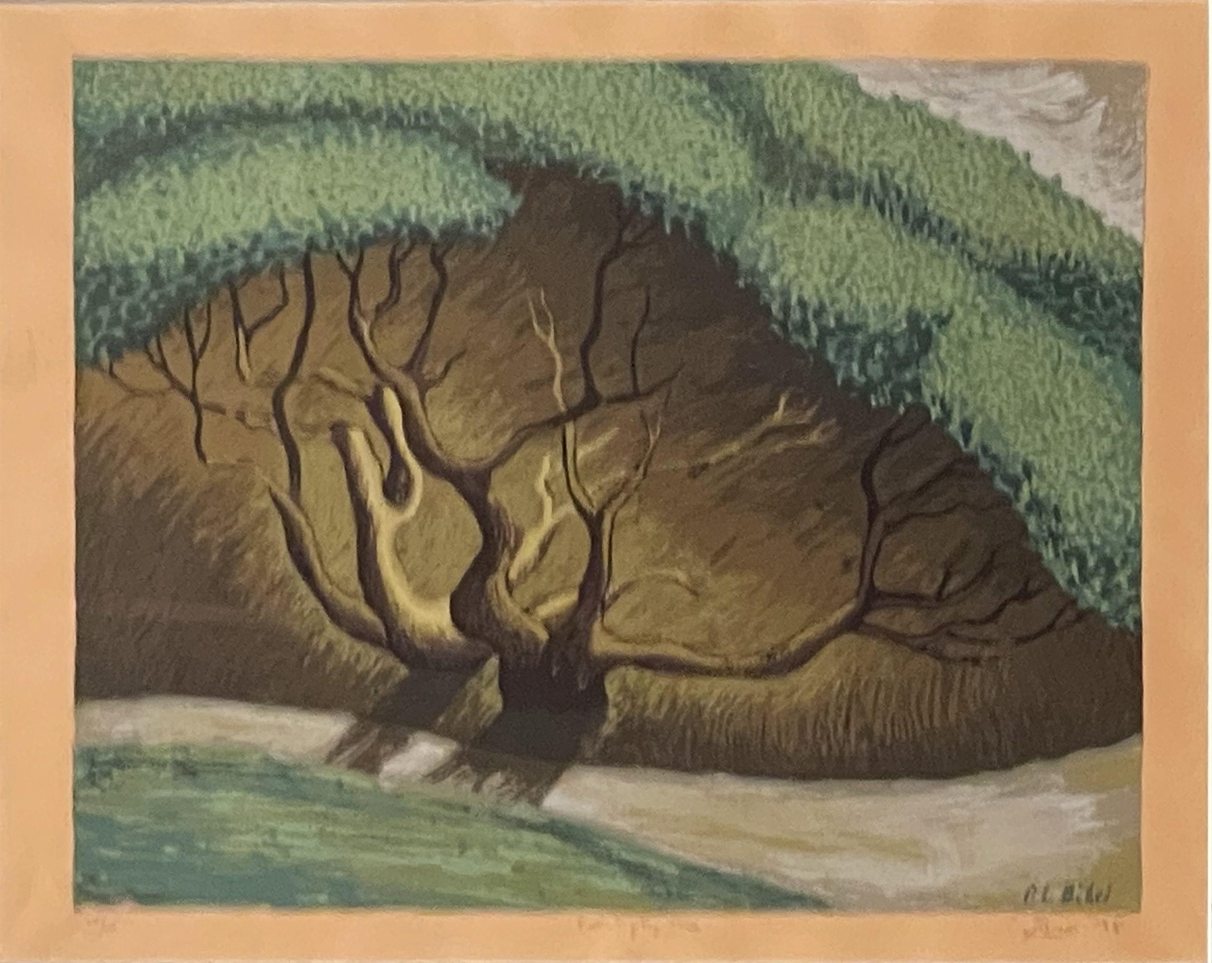 Leon Bibel Landscape Print - EUCALYPTUS TREE