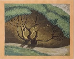 Vintage EUCALYPTUS TREE