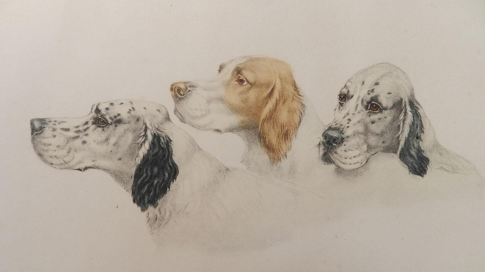 Original Etching of Dogs by Leon Danchin Setters
Hand signed in pencil by the artist Leon Danchin and was published by Leon Danchin, Paris  1938
Coloured aquatint Etching on cartridge paper unframed
Minor marks of age, there is a feint water mark to