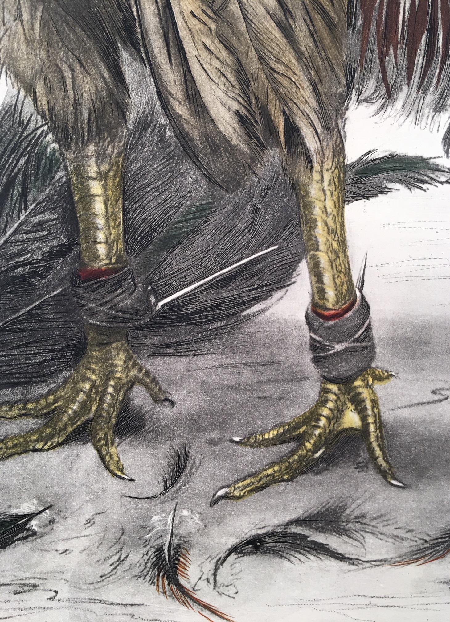 Cock de combat - Réalisme Print par Leon Danchin
