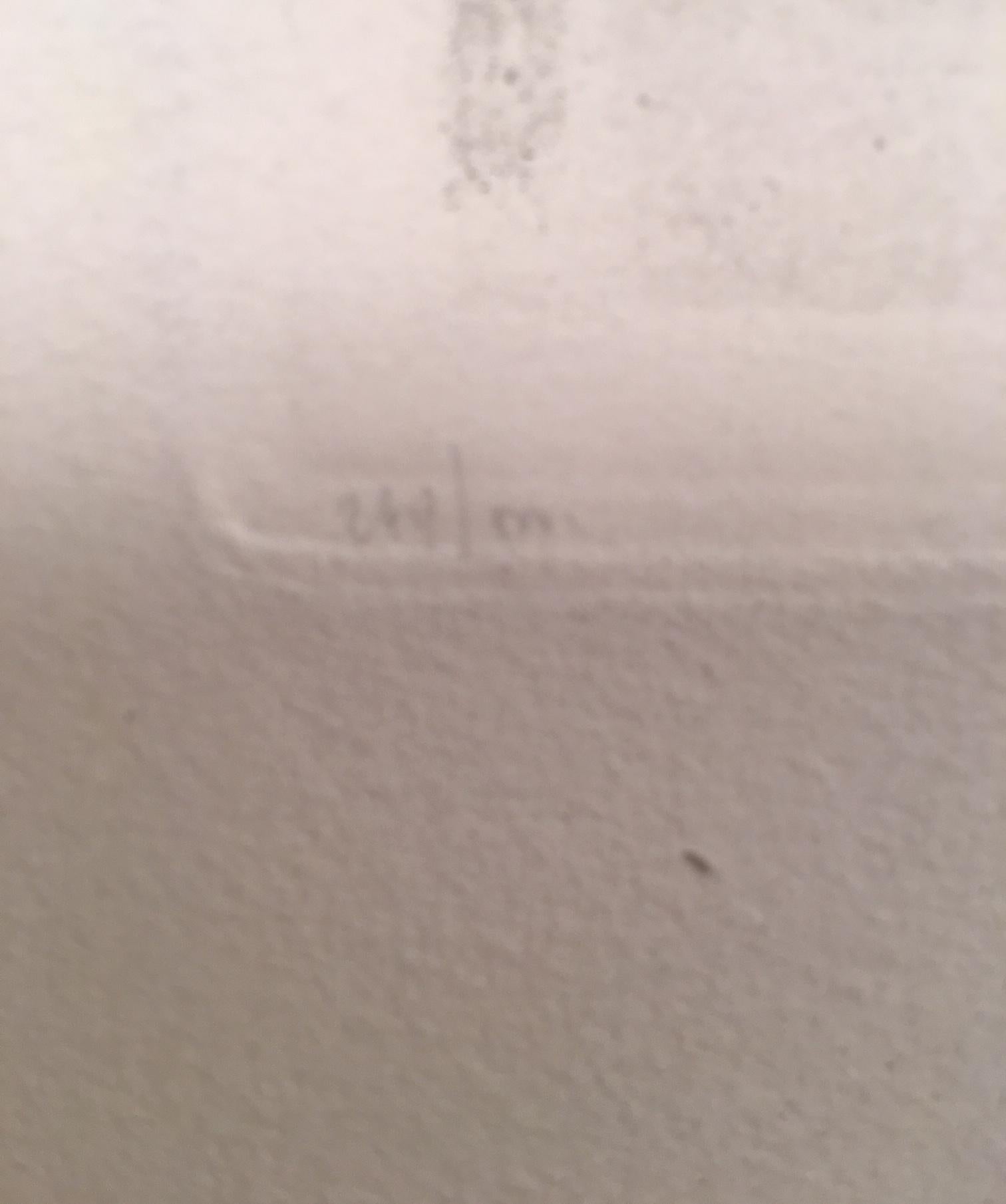 Gravure à l'eau-forte originale, signée au crayon et numérotée (244/500) par l'artiste français Léon Danchin, représentant un coq de combat. De son vivant, la Phyllis Lucas Gallery de New York a établi une relation avec Danchin, l'un des plus