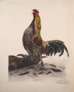 Fighting Cock