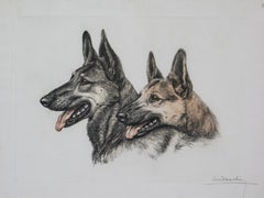 German Shepard Heads original engraving  by Leon Danchin