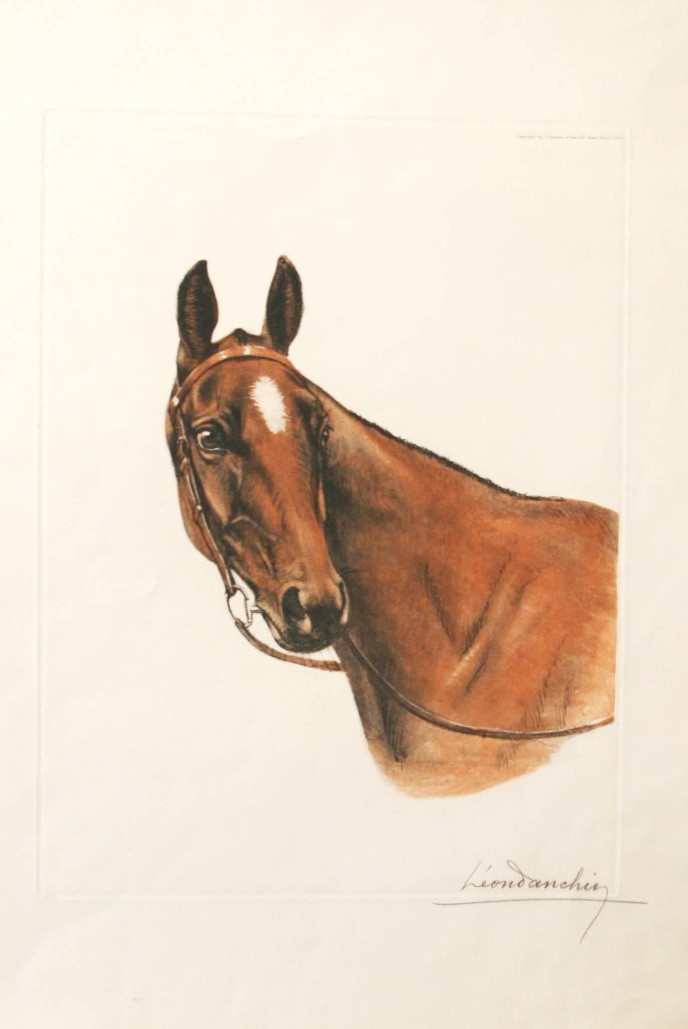 Pferdekopf von Leon Danchin... 1887-1938... ist ein hübsches Porträt eines Vollblüters, der den Kopf dreht, um hinter sich zu schauen. Der in Lille (Frankreich) geborene Danchin begann seine künstlerische Laufbahn im Alter von sechzehn Jahren, als