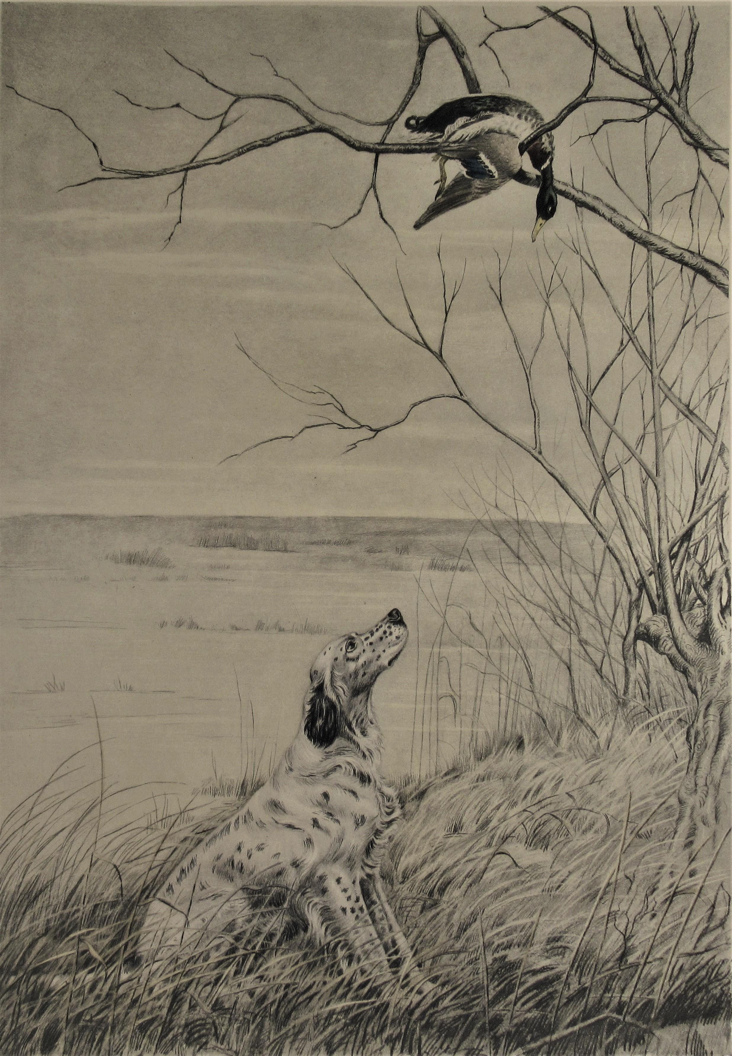 Hunting Dog Looking at a Duck - Print by Leon Danchin