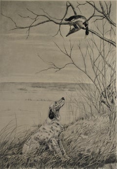 Chien de chasse regardant un canard