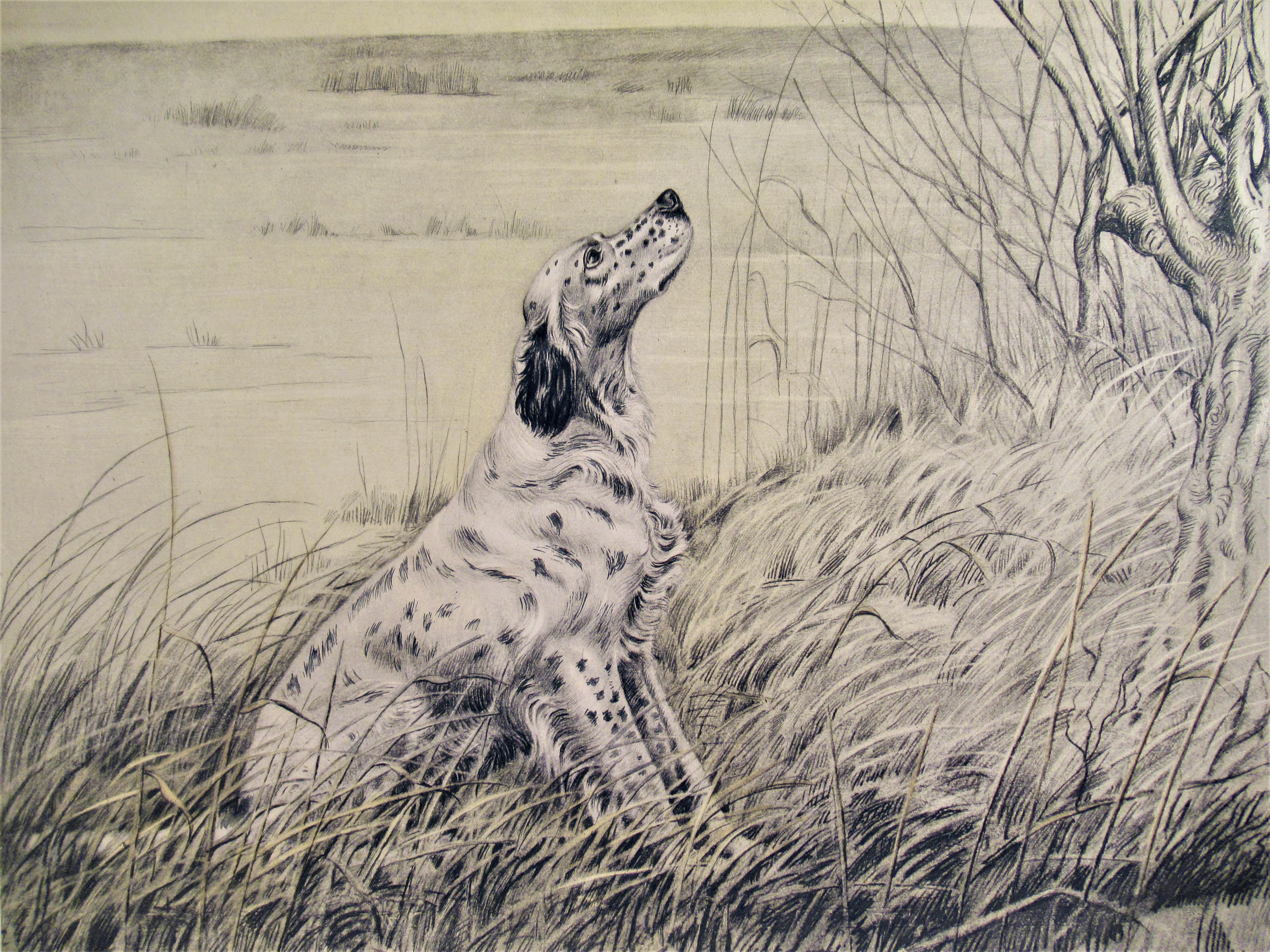 Chien de chasse regardant un canard - Réalisme Print par Leon Danchin