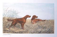 Gravure originale de Leon Danchin « Irish Setters in the Field »