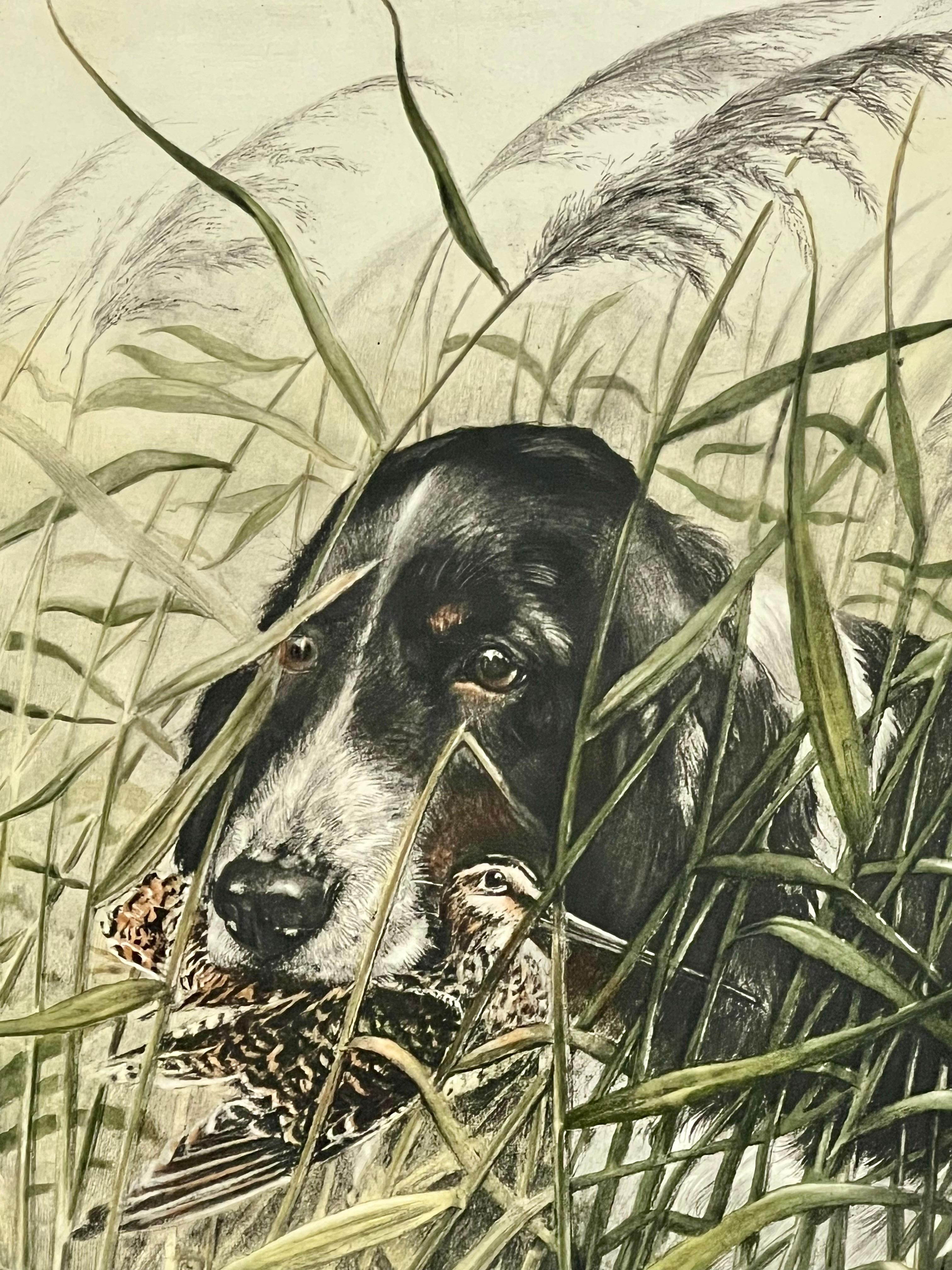 Leon Danchin Dog and Woodcock Original Hand Colored Etching, Signed and Framed For Sale 2