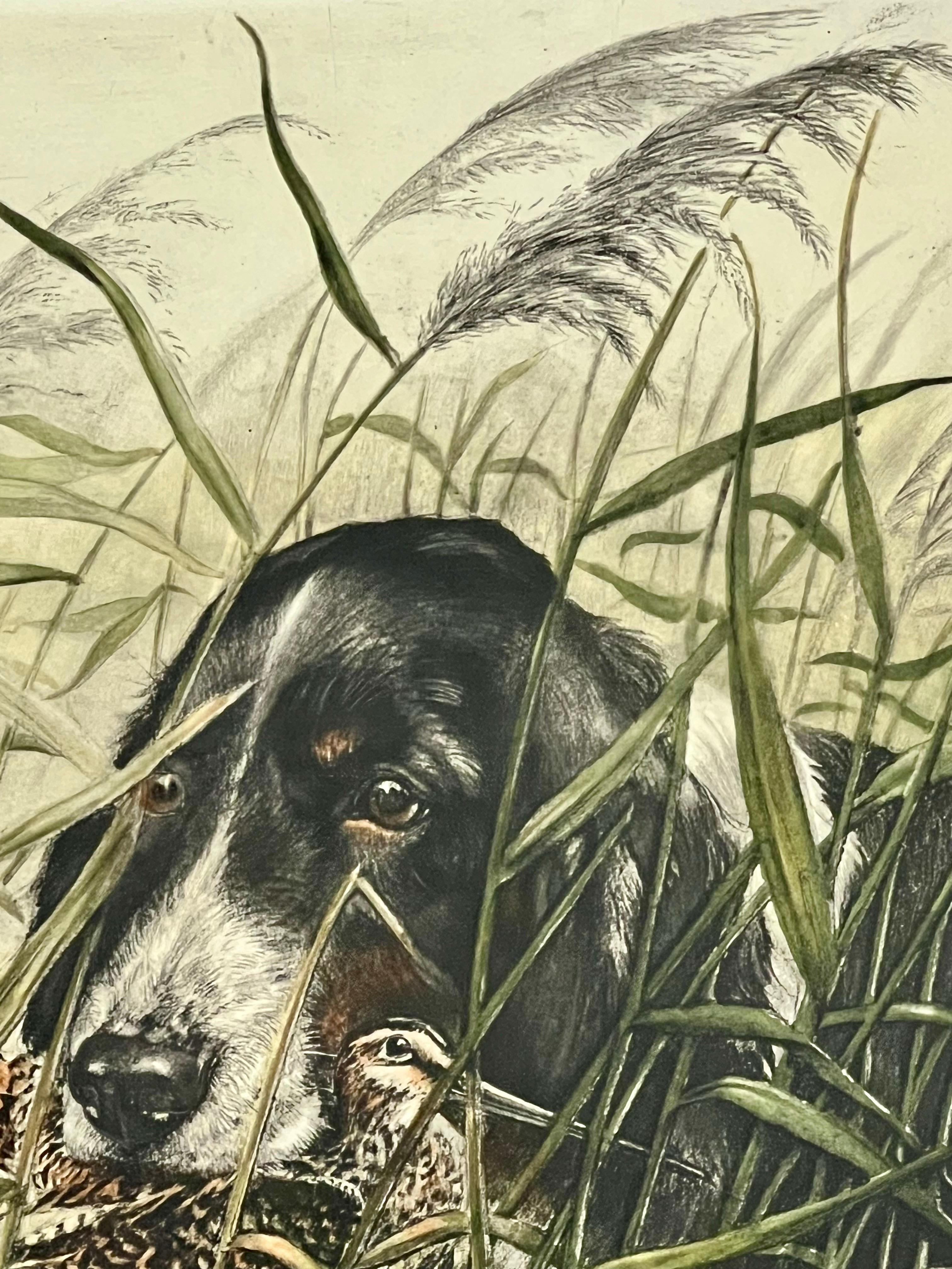 Leon Danchin Dog and Woodcock Original Hand Colored Etching, Signed and Framed For Sale 3