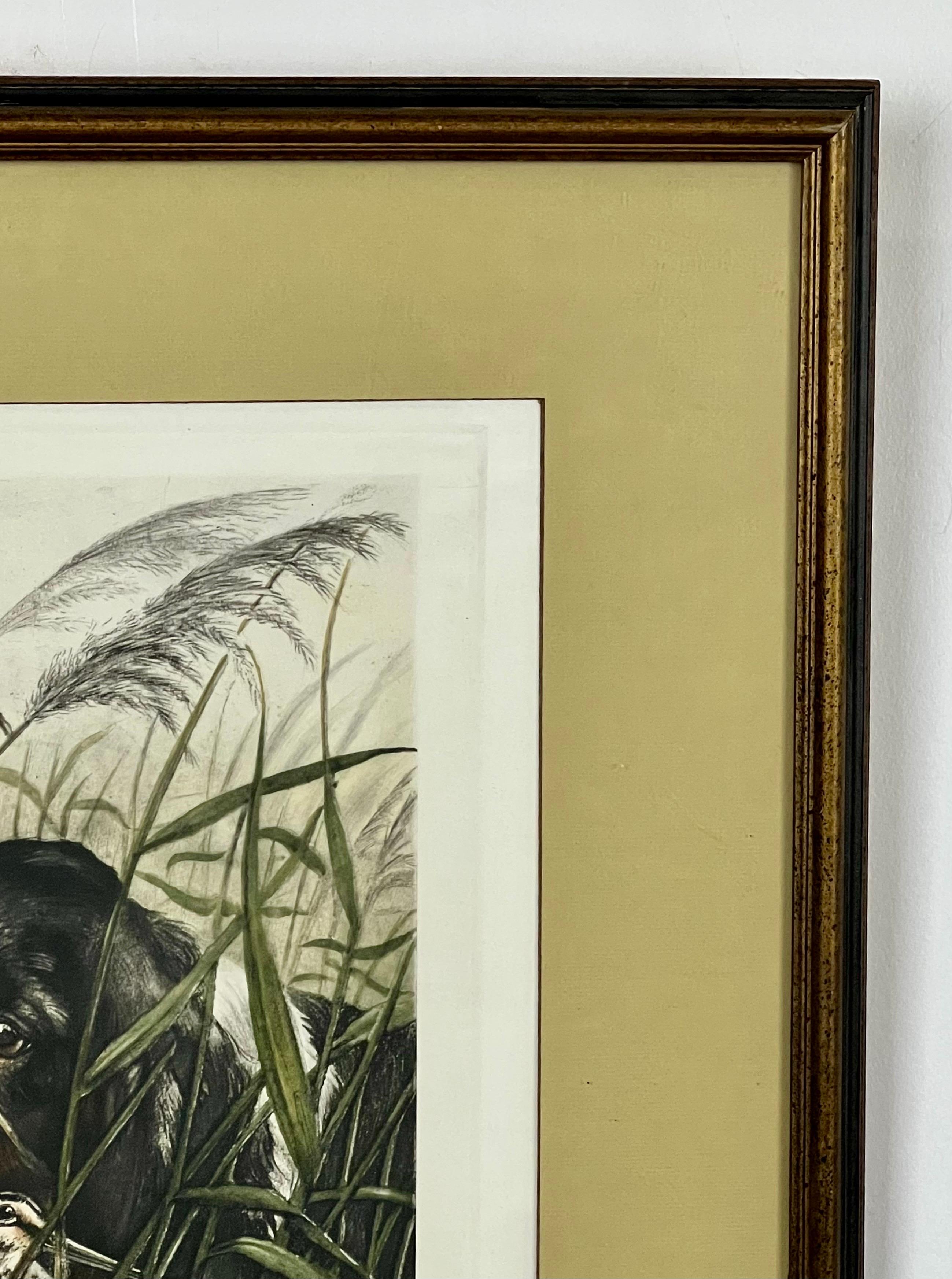 Leon Danchin Dog and Woodcock Original Hand Colored Etching, Signed and Framed For Sale 7