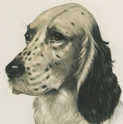 Little Setter Head II Leon Danchin original etching  20th c