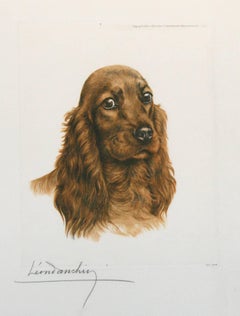 Cabeza de Cocker Spaniel Rojo Leon Danchin grabado original