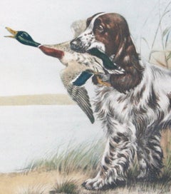 Spaniel with Duck original signed etching  by Leon Danchin