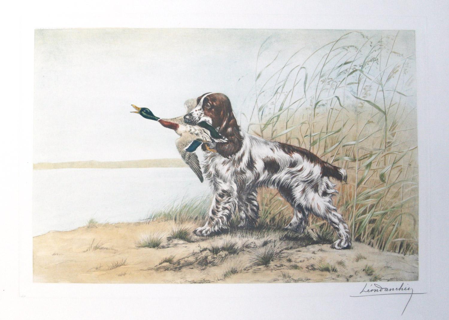      Spaniel With Duck est une gravure originale signée de Léon Danchin en très bon état. 
format du papier 22,25 x 30    taille de l'image  16.50 x 24   
     Léon Danchin, né à Lille en France en 1887, a commencé sa carrière d'artiste à l'âge de