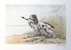 Vintage Spaniel with Duck original signed etching  by Leon Danchin