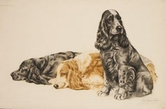 Gravure originale de Leon Danchin « Three Cocker Spaniels » (trois épagneuls de Cocker)