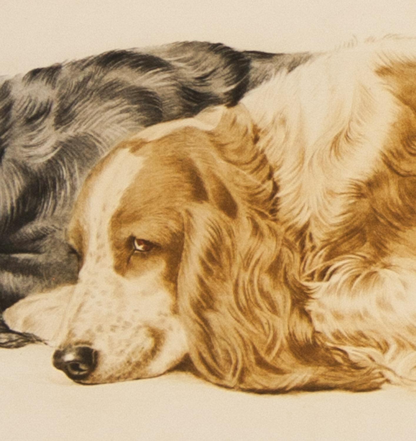 Three Cocker Spaniels original signed etching by Leon Danchin For Sale 1