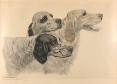 Three English Setters