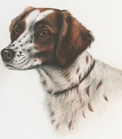 Two Britany Spaniel Heads Leon Danchin etching signed