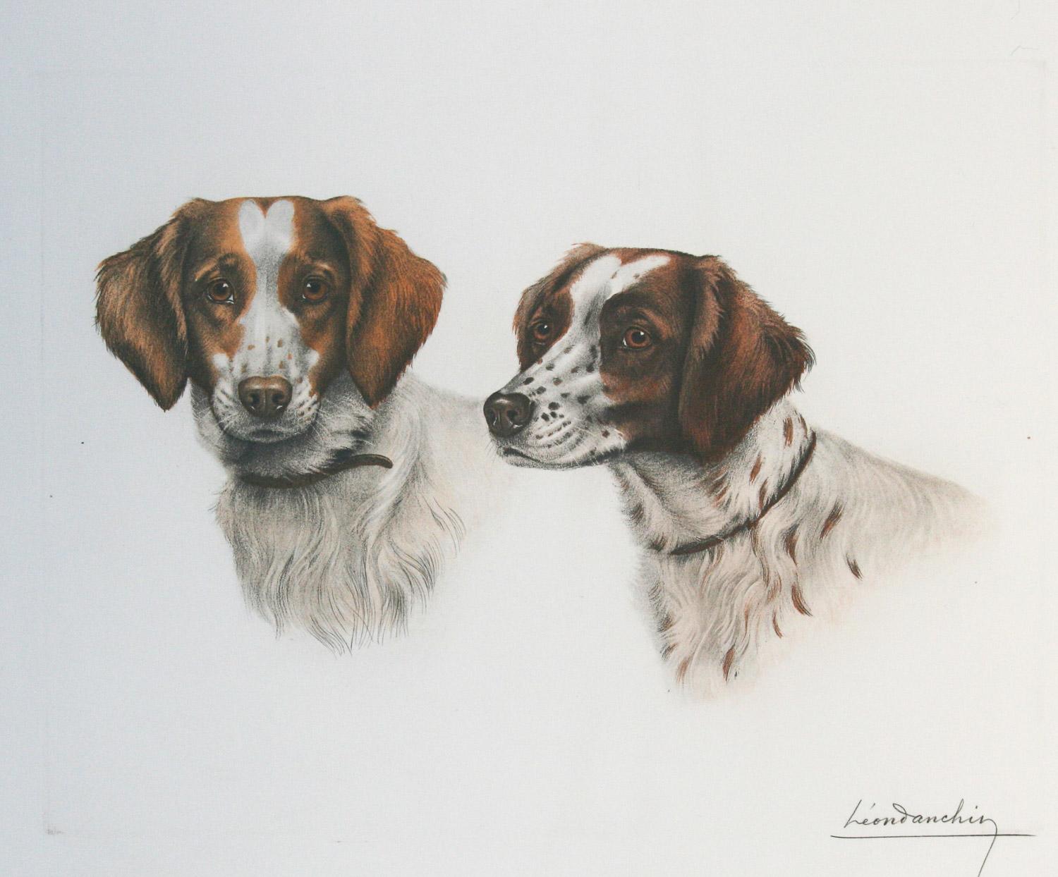     Two Britany Spaniel Heads by Leon Danchin is a hand signed limited edition etching published in France and is in very good condition.  The paper is slightly wavey which can be flattened with framing. paper size 19.75 x 25.50 image 15.25 x 20
   