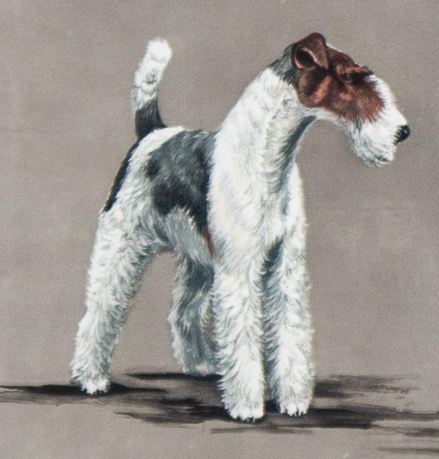      Two Fox Terriers is an original signed etching by Leon Danchin in good condition. 
 paper size 22.50 x 29.75  image size 15 x 20
     Leon Danchin, born in Lille, France in 1887 began his career as an artist at the age of sixteen when he was