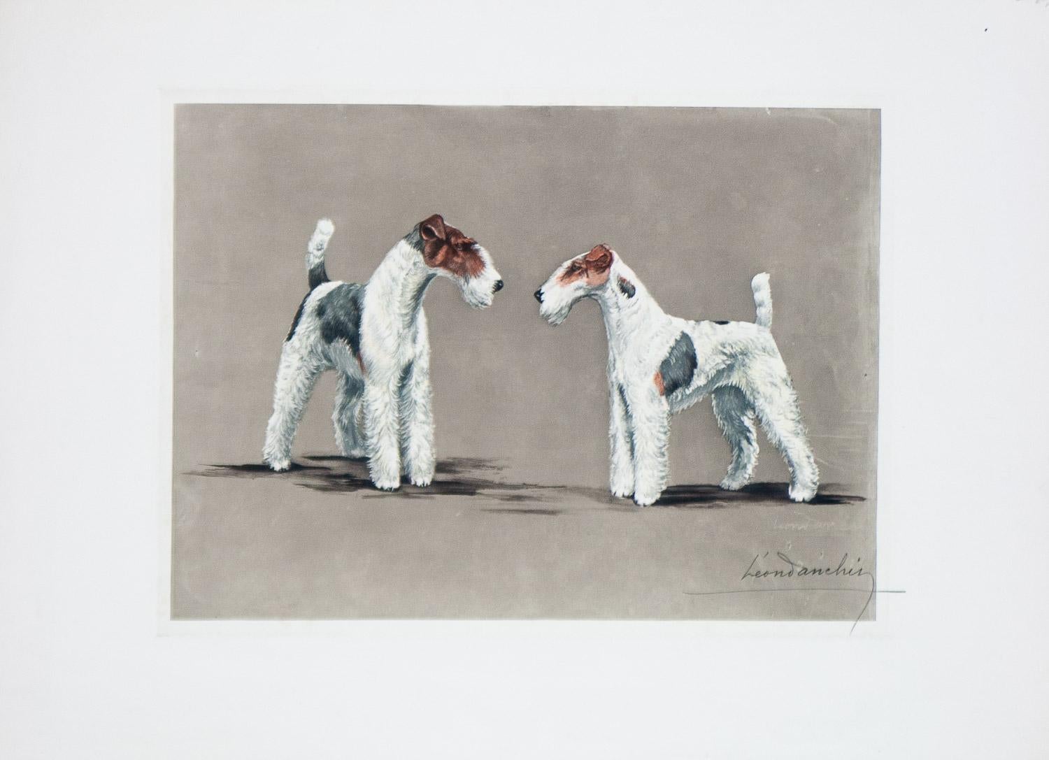 Two Fox Terriers original etching by Leon Danchin