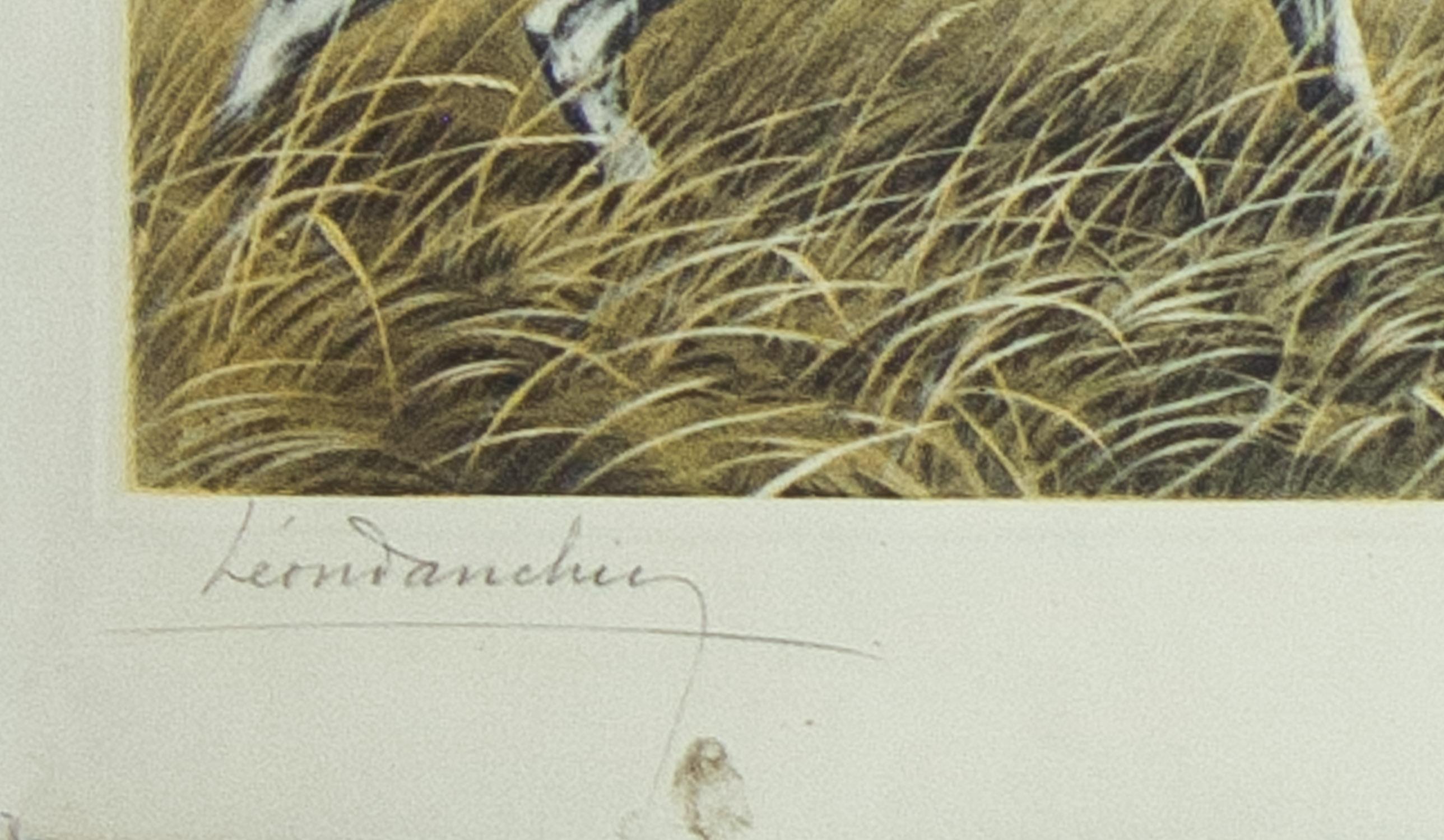 Two Pointers Hunting a Pheasant, gravure originale de Leon Danchin de 1938 en vente 1
